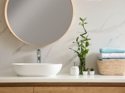 Beautiful green plants near vessel sink on countertop in bathroom